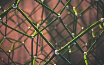 L’usage d’Internet en 2024 : Chiffres clés, tendances et analyses